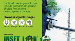 Galeria Dedetização em Goiânia - Desinsetização - Insetlar Gyn. 4